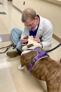 Dr. H with Duke, Pet-Assisted Therapy Dog