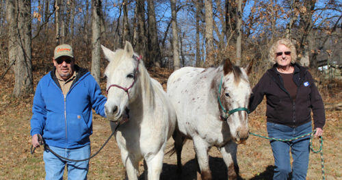 Willie and Sherry Heindricks with their horses