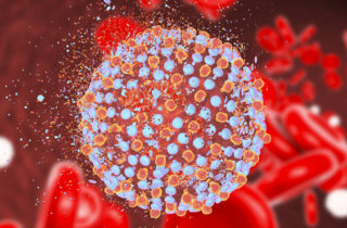 illustration of hepatitis virus