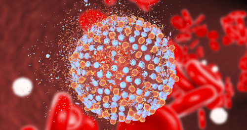 illustration of hepatitis virus