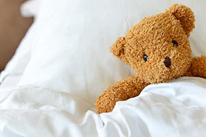 Teddy bear in a bed