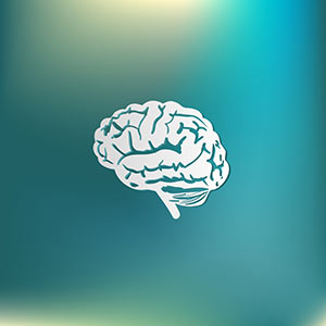 Human brain graphic