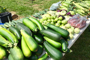 Produce from St. Ann's Garden of Hope in Peoria