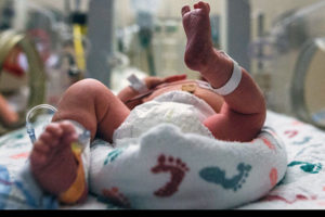 Infant in NICU incubator