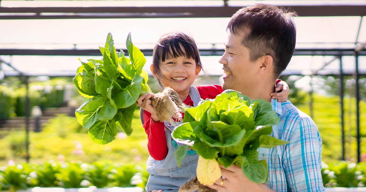 Backyard Gardening For Beginners