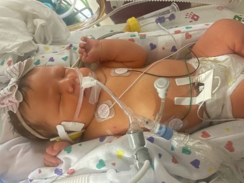 One family’s NICU experience