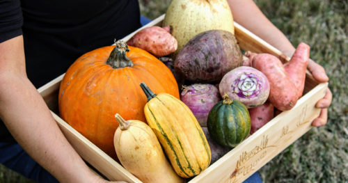 Savor the season: Fall into fresh produce