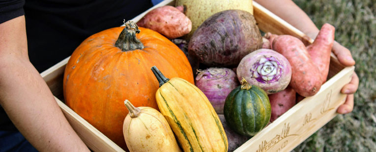 savor the season, fall into fresh produce, person holding box of fall produce, including pumpkins, squash, yams, etc