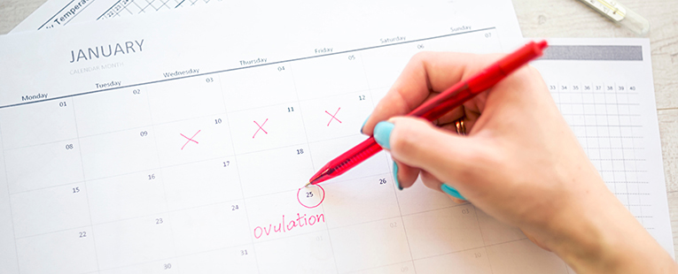 stages of the menstrual cycle, period, period tracker, ovulation, how long do periods last