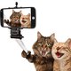 24-_cat-_selfie.jpg
