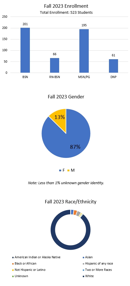 enrollment_gender_race.png