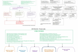 collage of curricula flowcharts for Saint Anthony College of Nursing