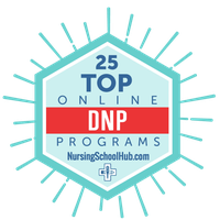 Top 25 online DNP courses