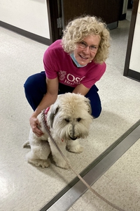 Addison, therapy dog at OSF St. Mary Medical Center