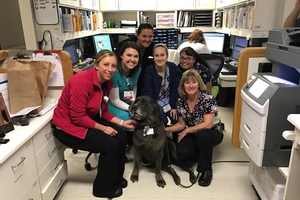Tausha, pet therapy dog at OSF St. Mary Medical Center