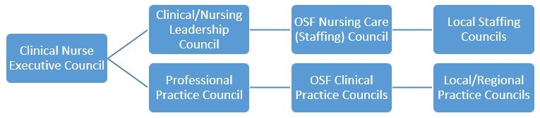 OSF Nursing Governance Framework