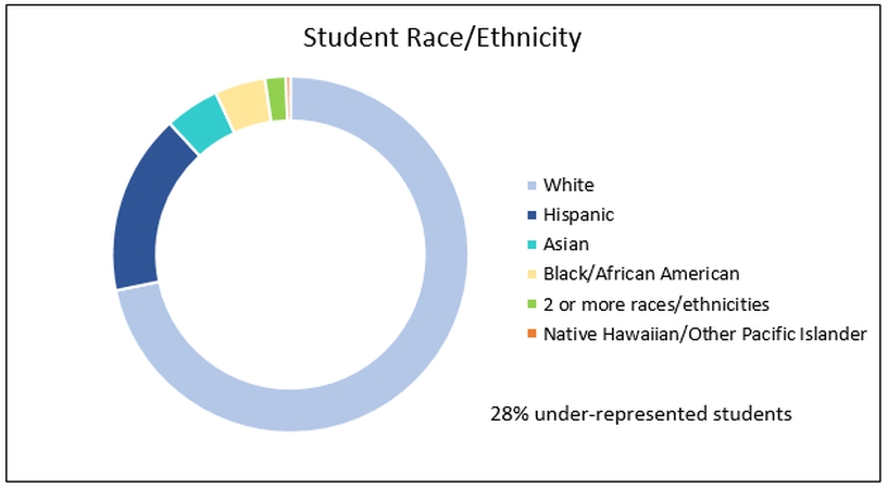 Saint Anthony College of Nursing Ethnicity Graph